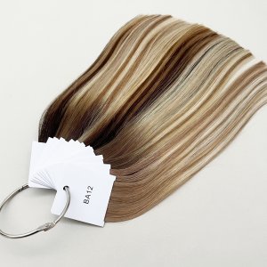 Balayage Color Chart