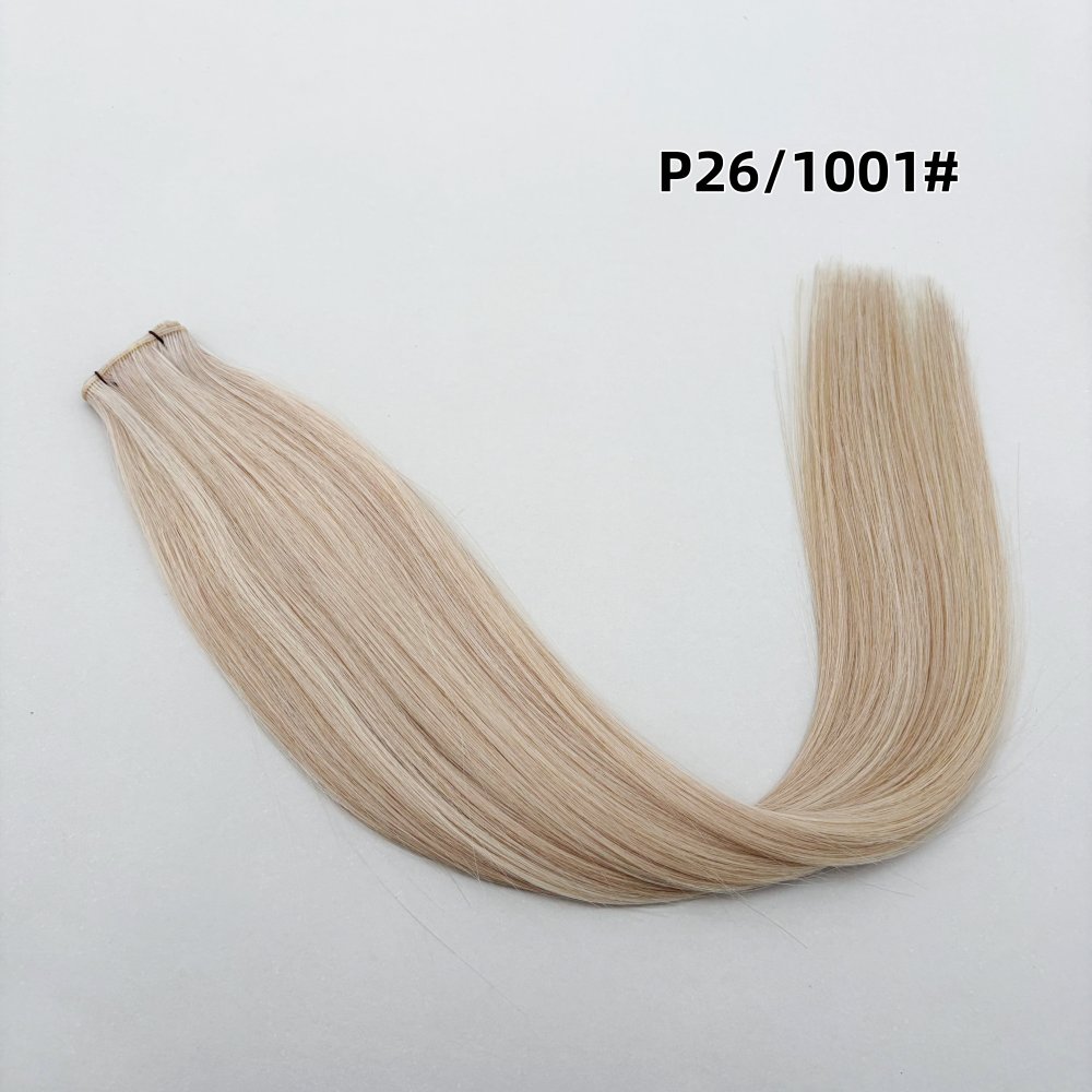 P261001_副本