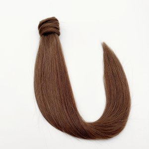 Ponytail